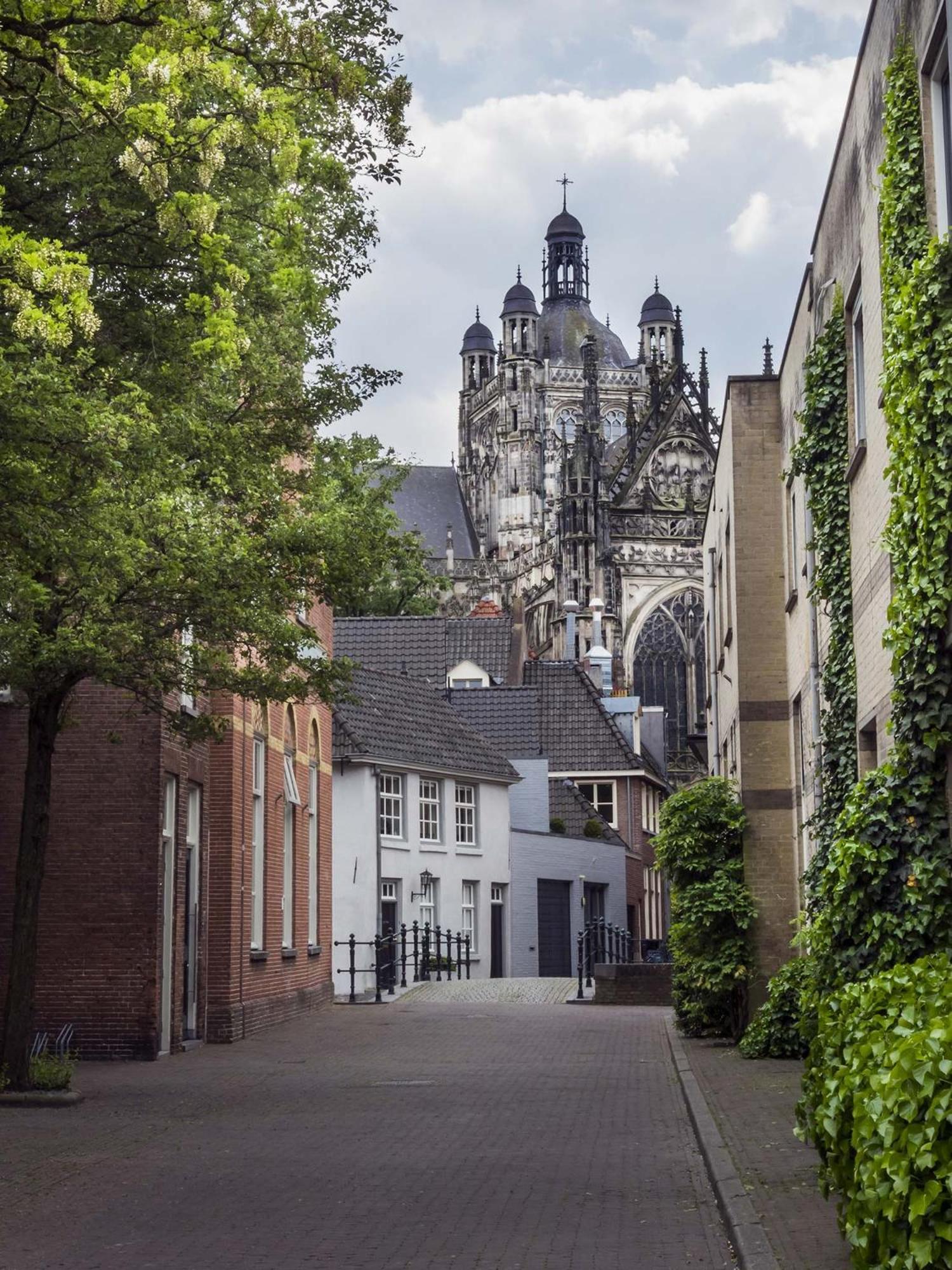 Hotel De Ruwenberg Den Bosch - Sint Michielsgestel Екстер'єр фото
